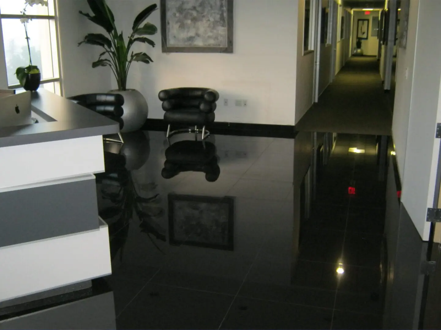 A black floor with a plant in the middle of it