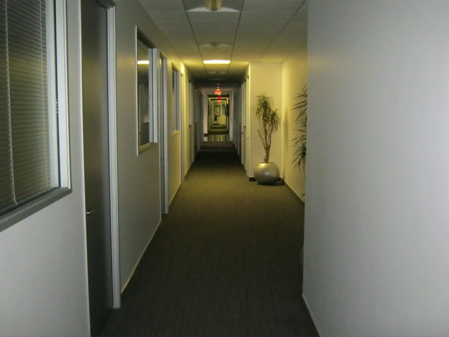 A hallway with many doors and windows